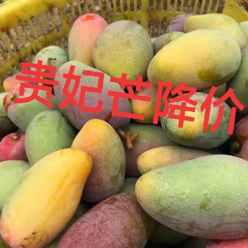 【支持一件代发】海南贵妃芒，核薄如纸肉厚