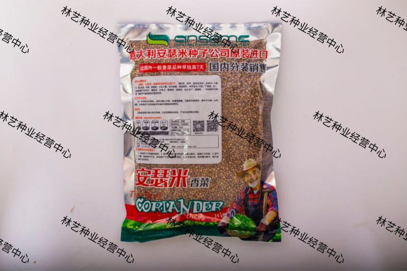 安瑟米香菜种子意大利进口大叶香菜籽耐寒抗病耐热苔芫荽种孑