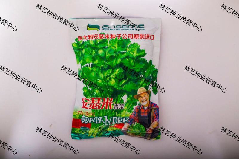 安瑟米香菜种子意大利进口大叶香菜籽耐寒抗病耐热苔芫荽种孑