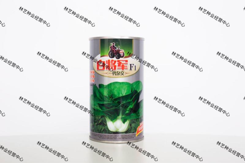 白将军快菜种子耐热耐湿夏秋小白菜夏秋速生快菜蔬菜种子