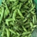 四川本地胡豆蚕豆纯大白胡豆蚕豆兰花豆品质保证供货稳定