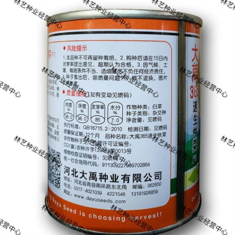 大禹牌365速生快菜F1种子叶厚无毛刺耐热耐湿四季高产