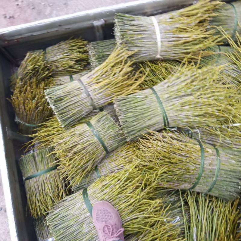 夹江叠鞘石斛一系列产品都有货，有需要的老板可以联系我