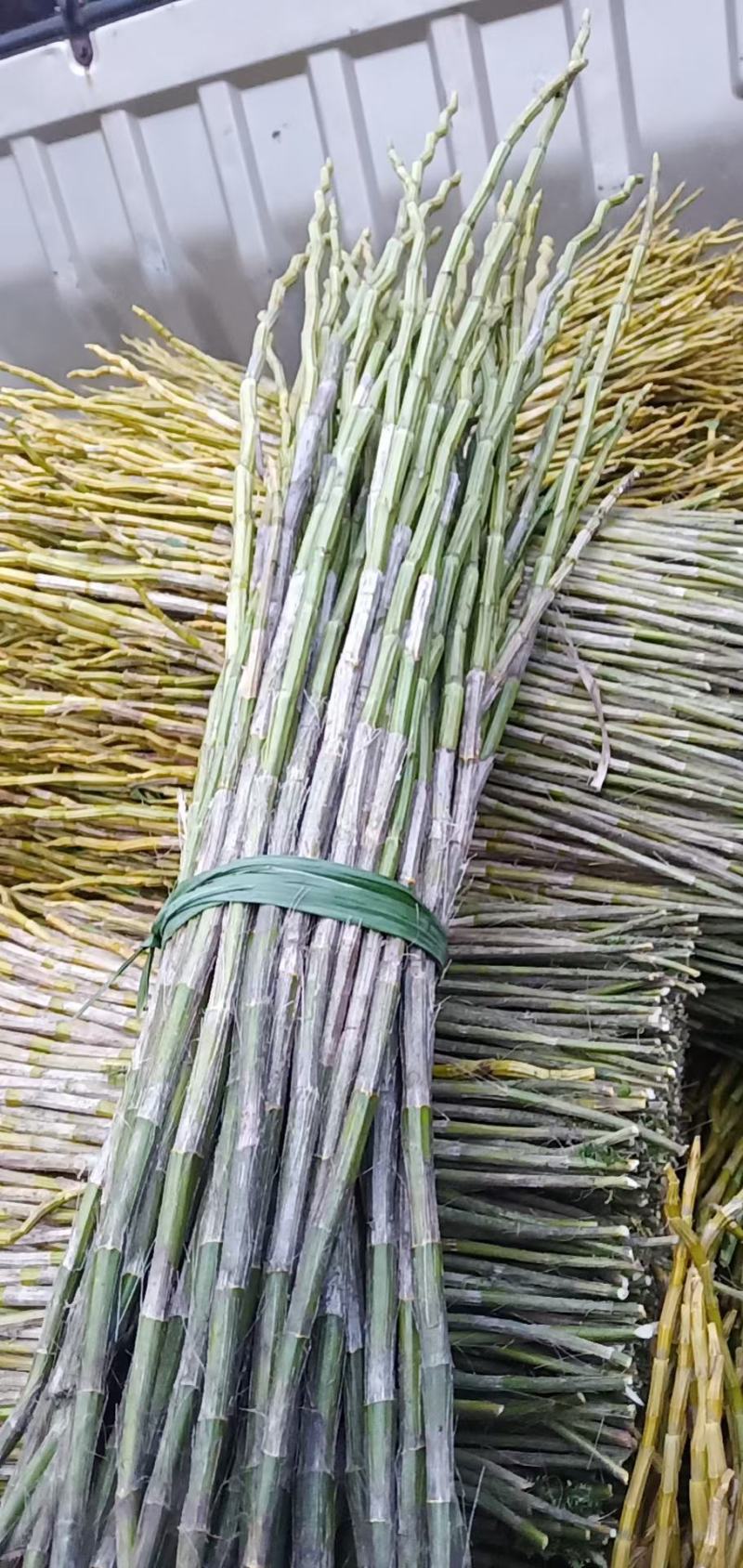 夹江叠鞘石斛一系列产品都有货，有需要的老板可以联系我