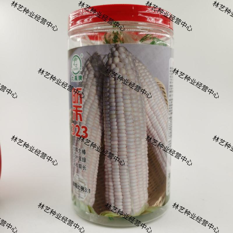 大禹昕禾323玉米种子罐装玉米种子农田菜园审定白色鲜煮