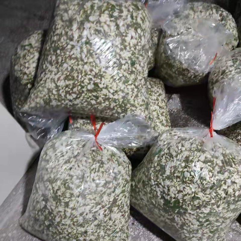 精品洋槐花槐花发车槐花-洋槐花大量供应欢迎来电