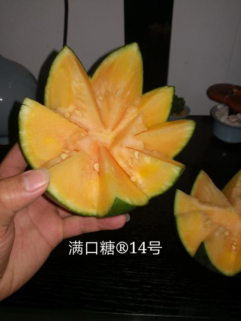 满口糖14西瓜种子/全国包邮/200粒/礼品小西瓜种子