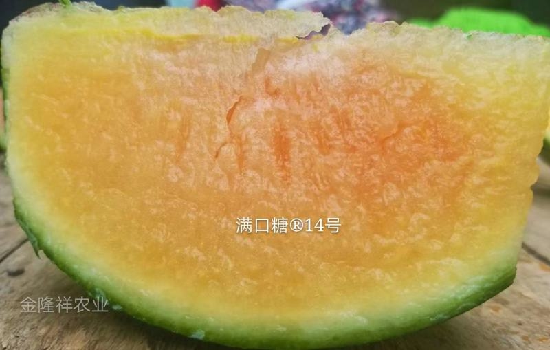 满口糖14西瓜种子/全国包邮/200粒/礼品小西瓜种子