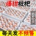 一件代发，包邮，批发代办，广西武鸣大五星枇杷白沙枇杷