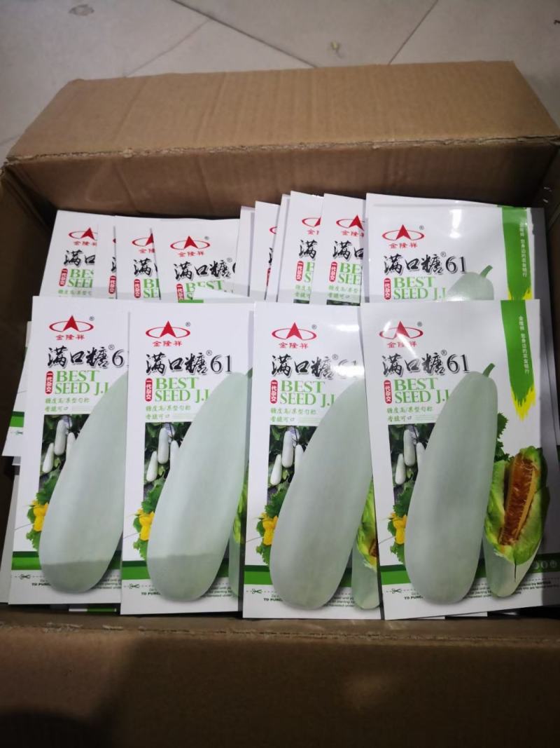满口糖61甜瓜种子10克/袋高糖高产杂交一代