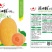 新东方蜜一号甜瓜种子/全国包邮/礼品甜瓜种子
