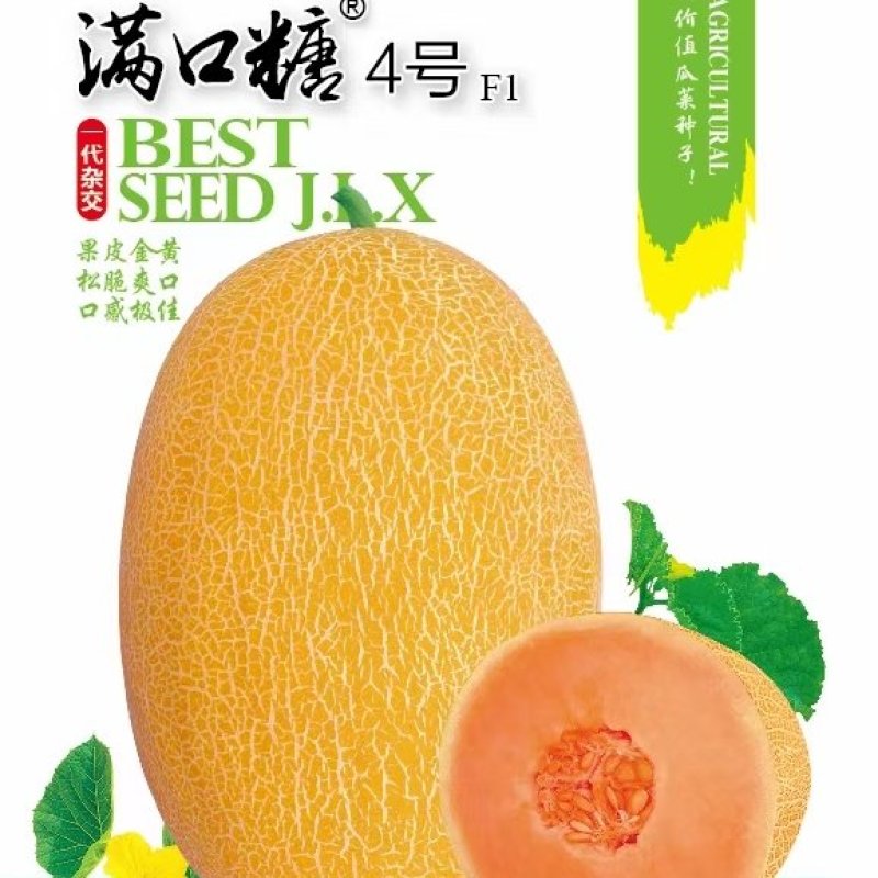 新东方蜜一号甜瓜种子/全国包邮/礼品甜瓜种子