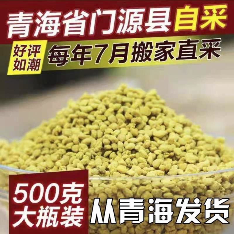 青海门源油菜花粉蜂花粉海北正宗纯食用油菜花粉高活性新花粉