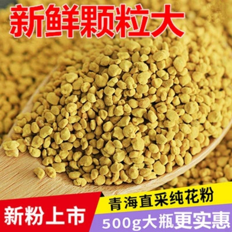 青海门源油菜花粉蜂花粉海北正宗纯食用油菜花粉高活性新花粉