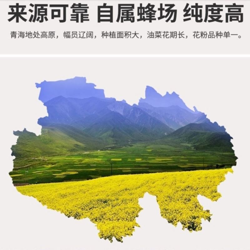 青海门源油菜花粉蜂花粉海北正宗纯食用油菜花粉高活性新花粉