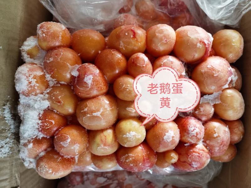 鹅副产品大全，鹅心/肝/胗/翅/爪/蛋黄，一件也是批发价