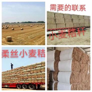 柔丝除尘小麦秸秆，产地直发品质保证，大包小包均可发货