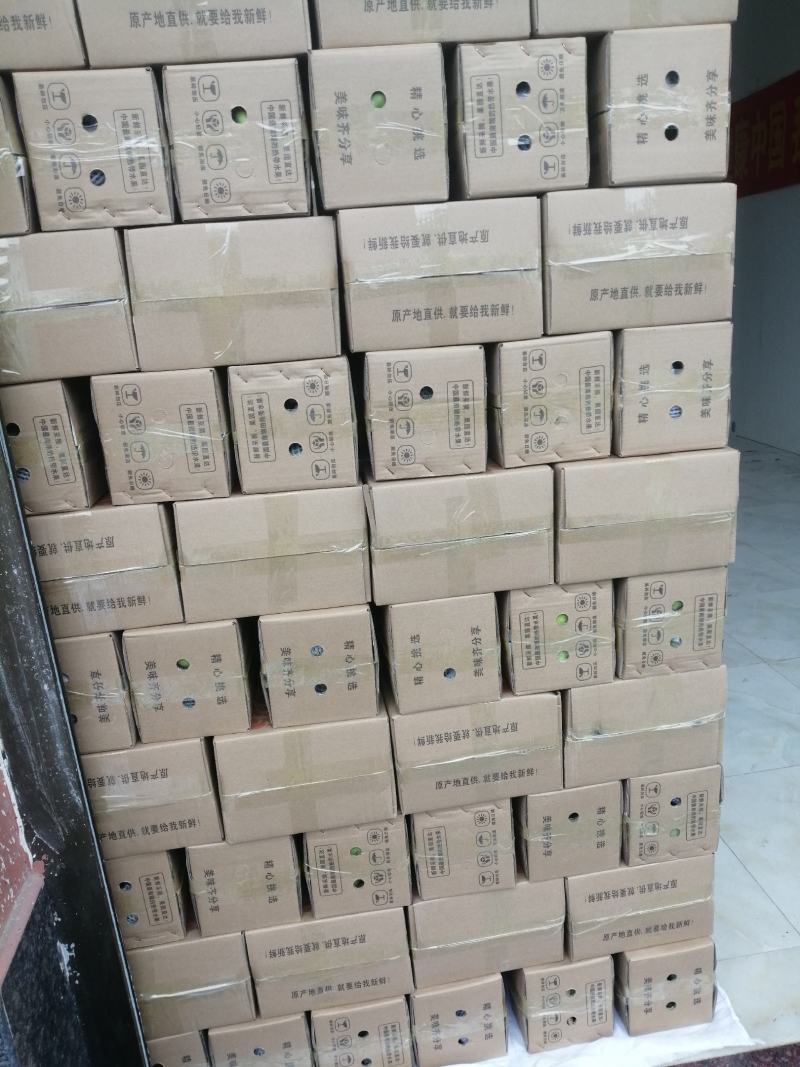 你来不了我帮你一件代发我就在产地