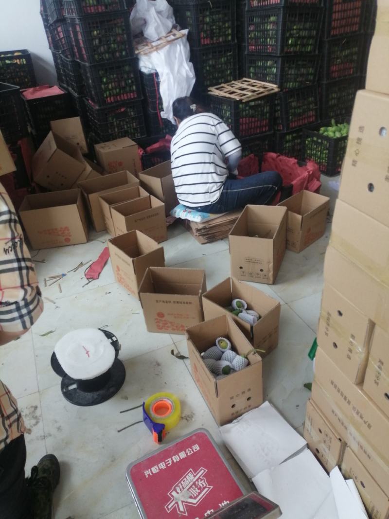 你来不了我帮你一件代发我就在产地