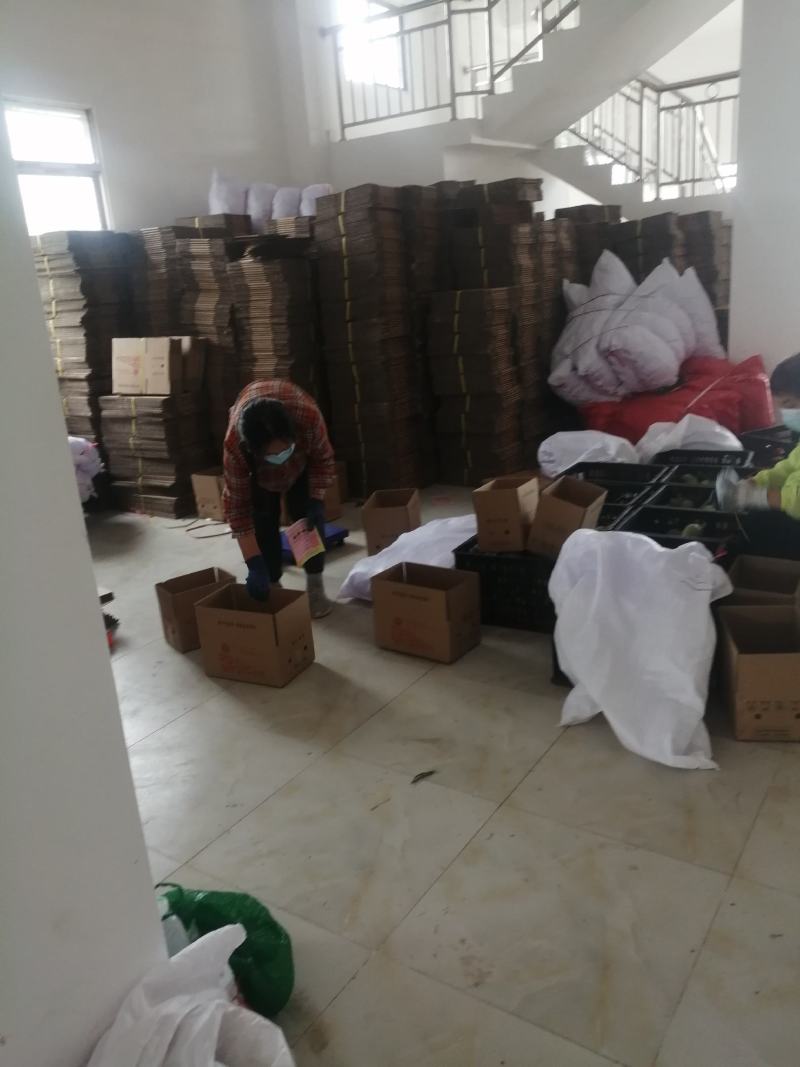 你来不了我帮你一件代发我就在产地