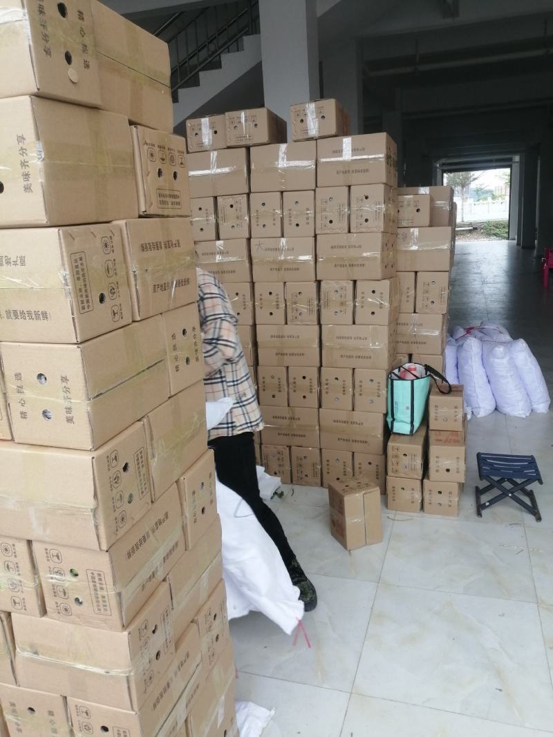 你来不了我帮你一件代发我就在产地