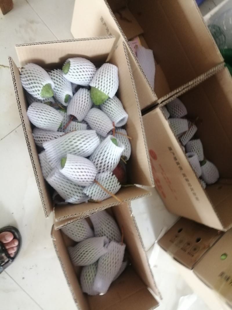 你来不了我帮你一件代发我就在产地