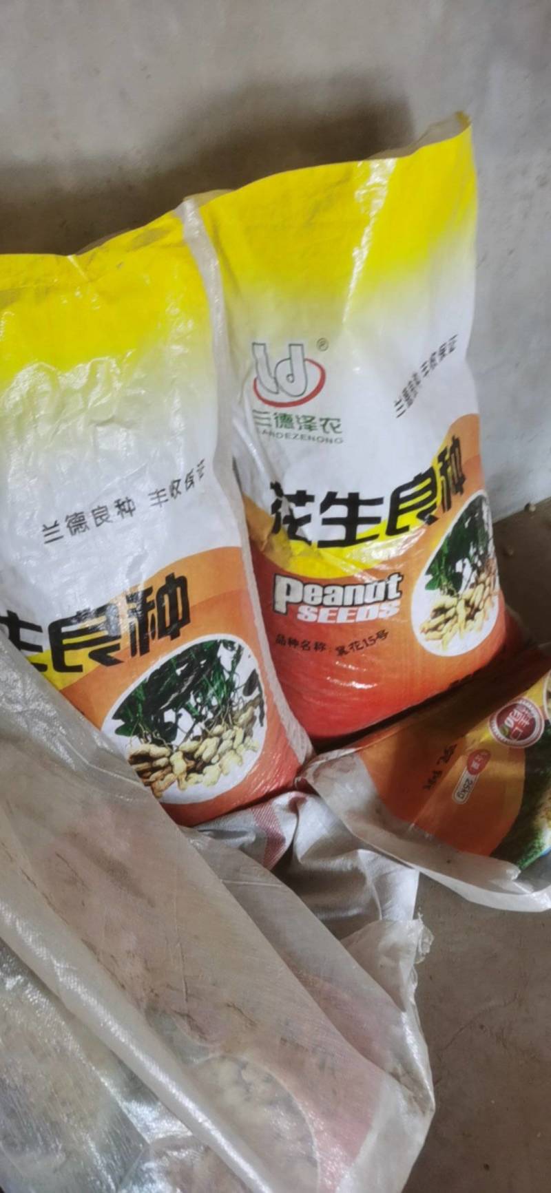 人工手剥精选花豫19种子米，7个筛上，人工精选