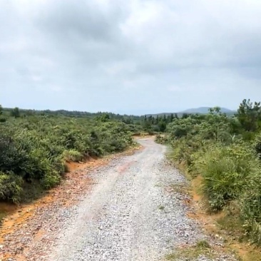 八千多亩养殖用地种植用地、