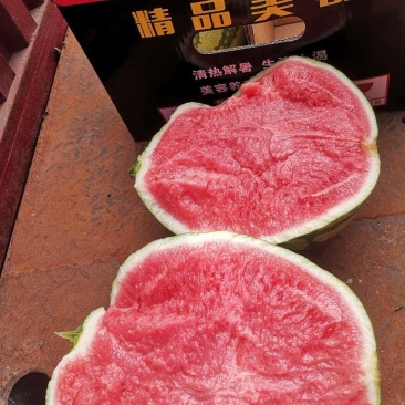无籽美都专业代收，云南，甘肃江苏，安徽河南美都西瓜