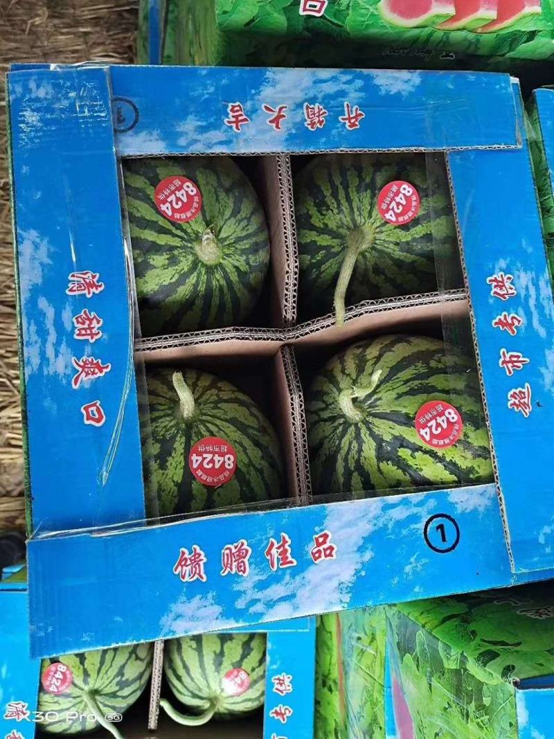 无籽美都专业代收，云南，甘肃江苏，安徽河南美都西瓜