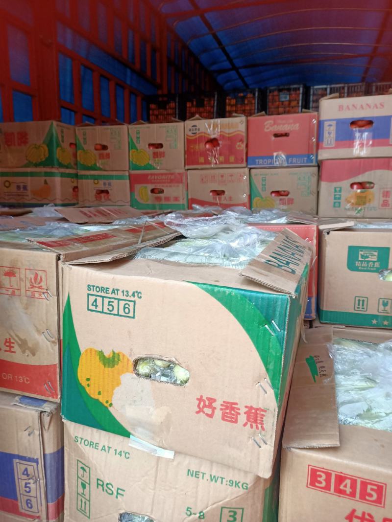 海阳普罗旺斯大西红柿大量上市欢迎代收代发社区团购和落地配