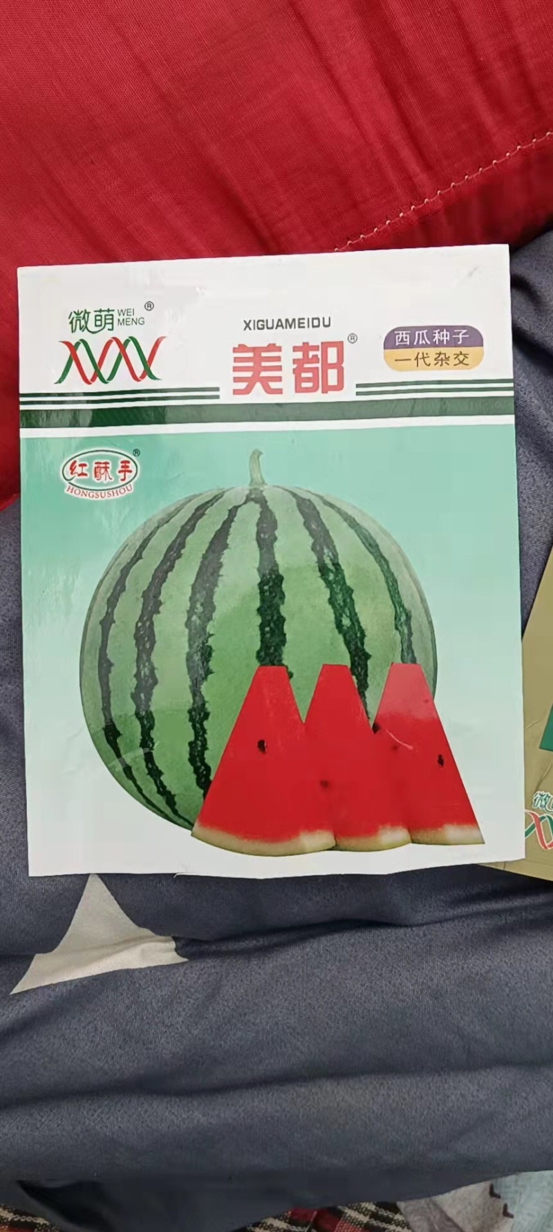 西瓜苗，8424西瓜苗，美都甜王，博洋甜瓜系列等等