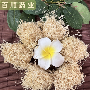 竹茹竹茹球今年新货产地货源量大从优