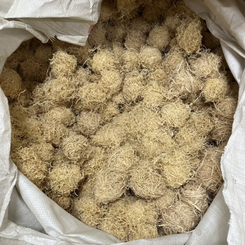 竹茹竹茹球今年新货产地货源量大从优