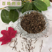 白花蛇舌草除尘无土无霉变地道药材