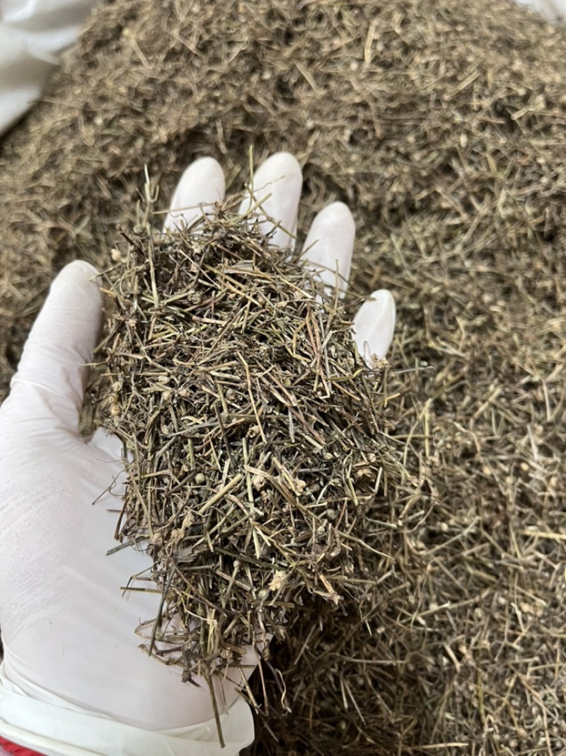 白花蛇舌草除尘无土无霉变地道药材