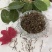 白花蛇舌草除尘无土无霉变地道药材