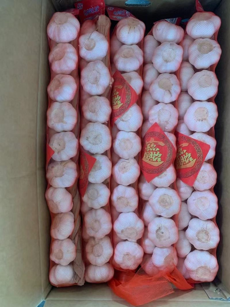 精品山东金乡紫皮大蒜代收代储代加工实力代办诚信合作