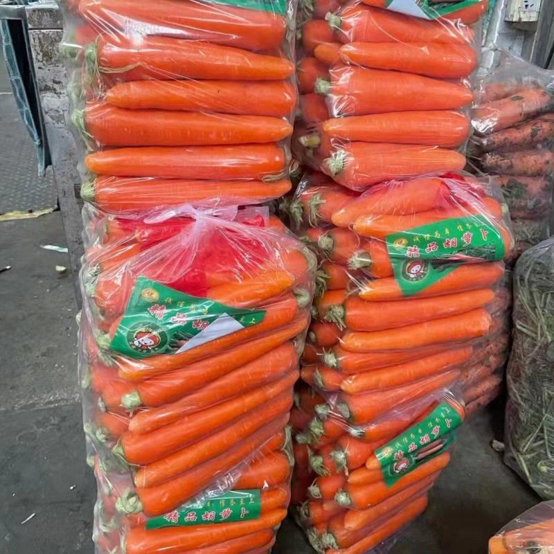 胡萝卜大量供应产地一手货源欢迎咨询订购