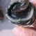 湖北潜江农家自产自销无铅松花皮蛋，味道鲜美，大量批发