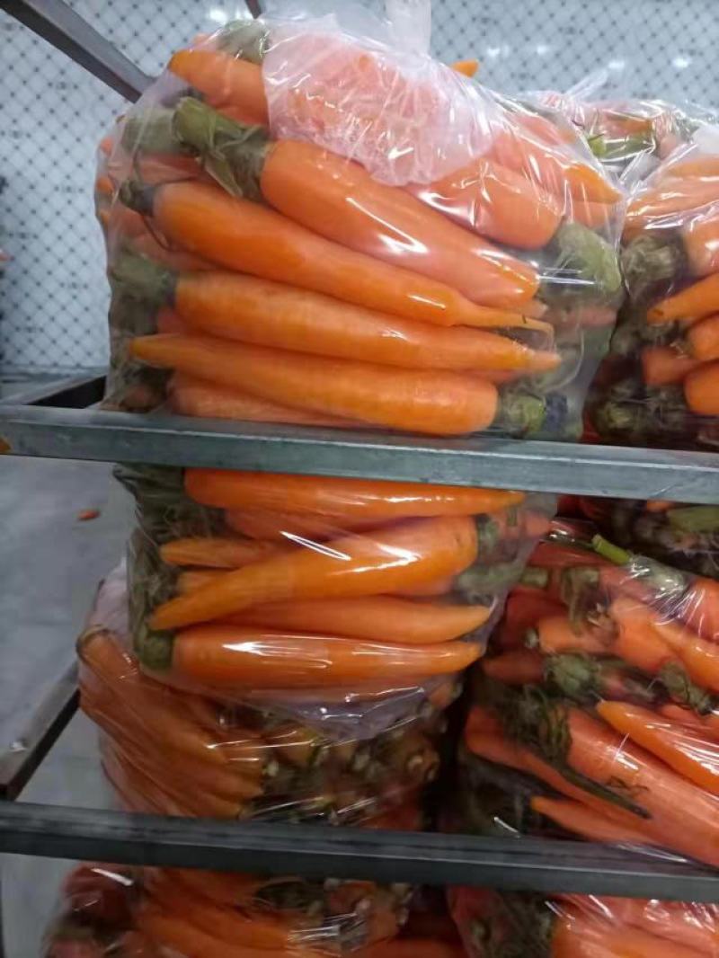 胡萝卜大量供应产地一手货源欢迎咨询订购
