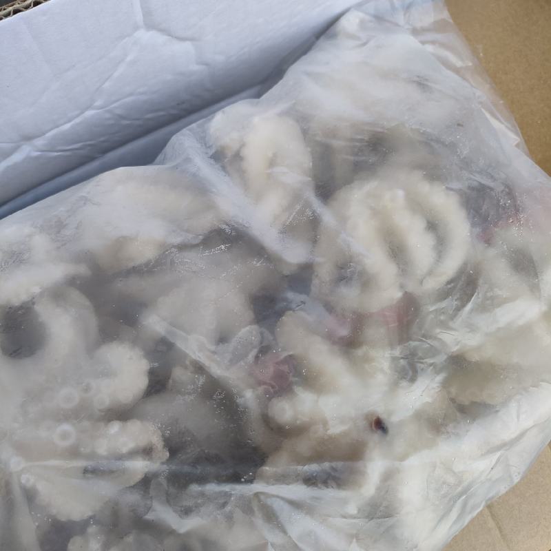 短腿八爪鱼，各种规格都有，做的小包装，市场可以用