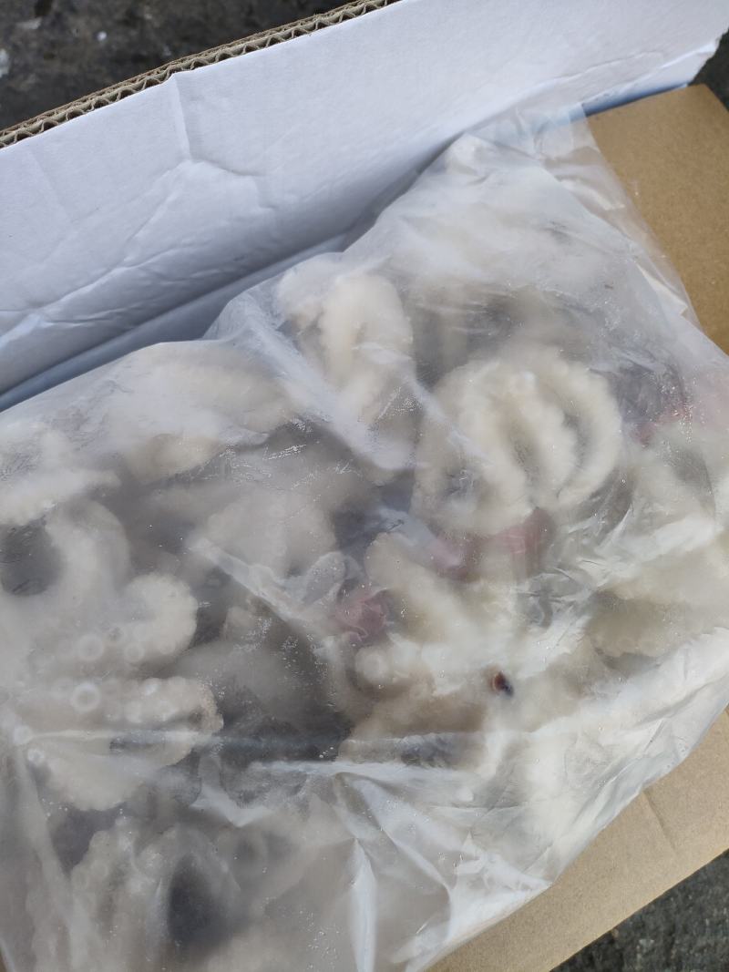 短腿八爪鱼，各种规格都有，做的小包装，市场可以用