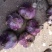 紫皮蒜推荐2026年云南大理弥渡紫皮大蒜产地直发代发全国