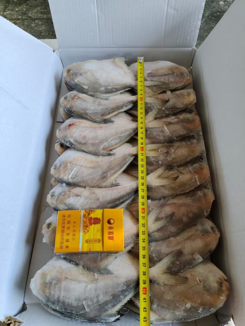 三两左右鲳鱼，一板八斤，大概27条，最近加工的
