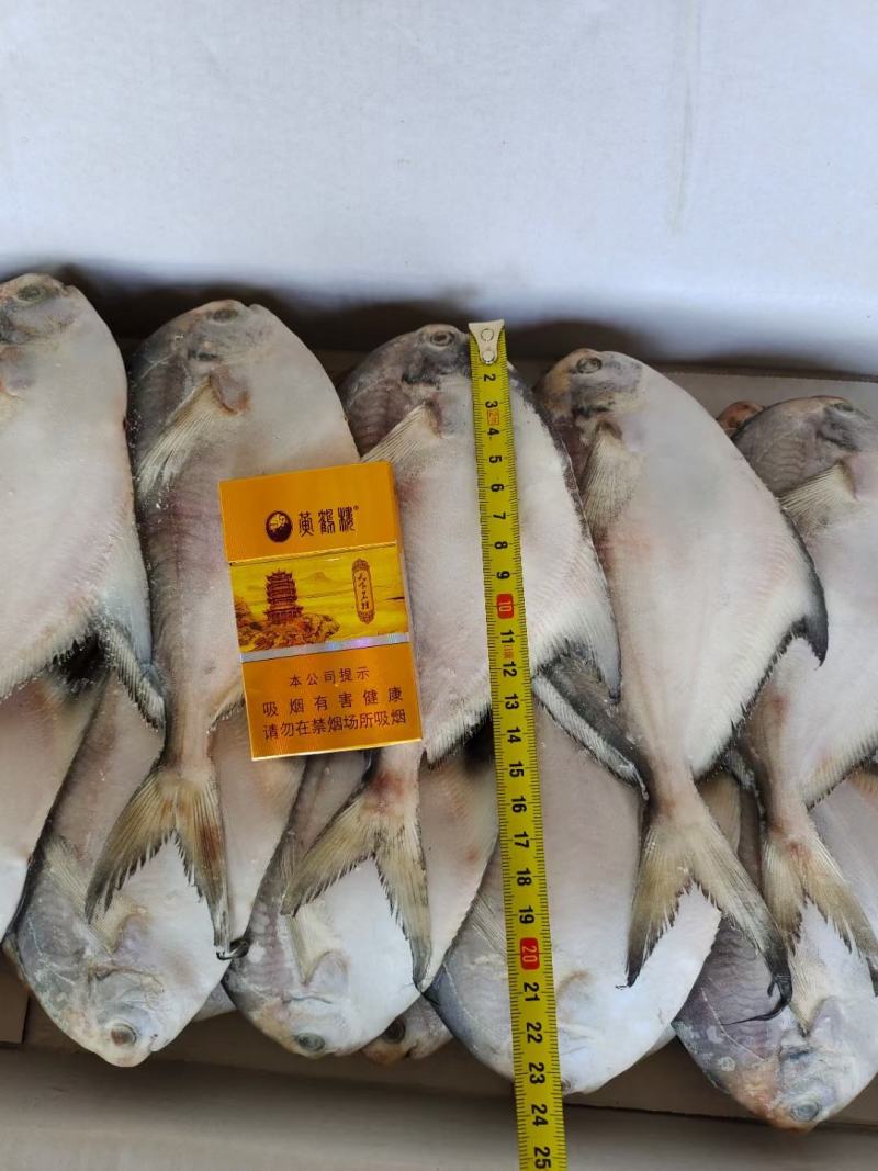 三两左右鲳鱼，一板八斤，大概27条，最近加工的