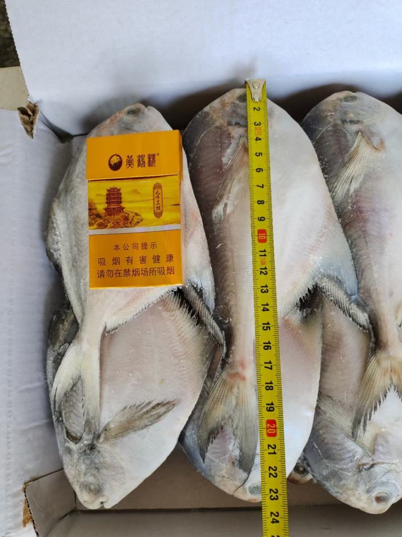 三两左右鲳鱼，一板八斤，大概27条，最近加工的