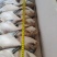 三两左右鲳鱼，一板八斤，大概27条，最近加工的