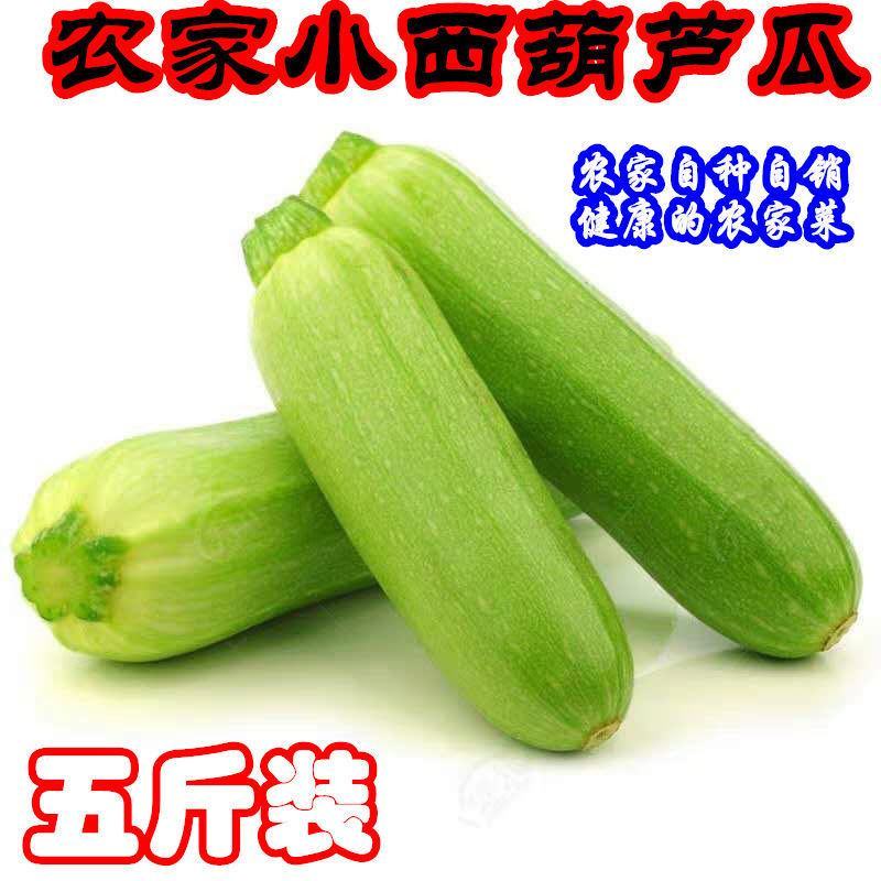 陕西阎良西葫芦瓜各种蔬菜一件代发供应电商