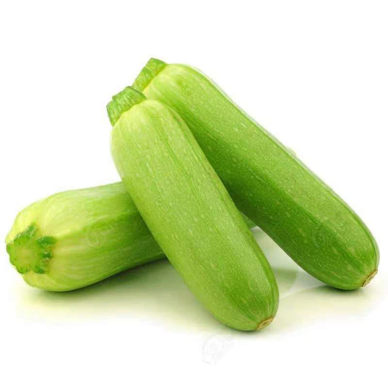 陕西阎良西葫芦瓜各种蔬菜一件代发供应电商
